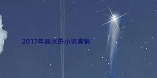 2017年最火的小说言情