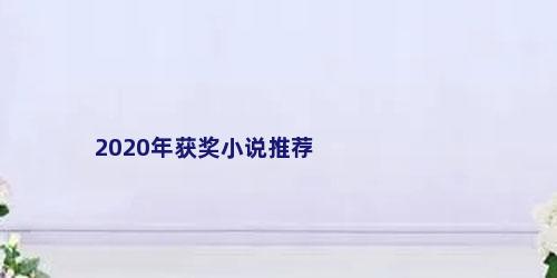 2020年获奖小说推荐