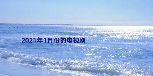 2021年1月份的电视剧