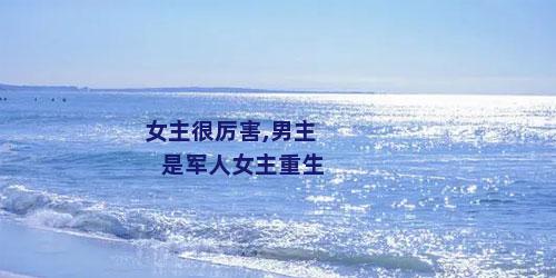 女主很厉害,男主是军人女主重生
