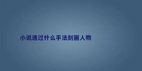 小说通过什么手法刻画人物