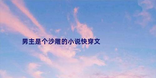 男主是个沙雕的小说快穿文