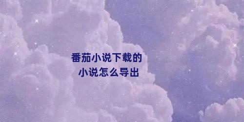 番茄小说下载的小说怎么导出