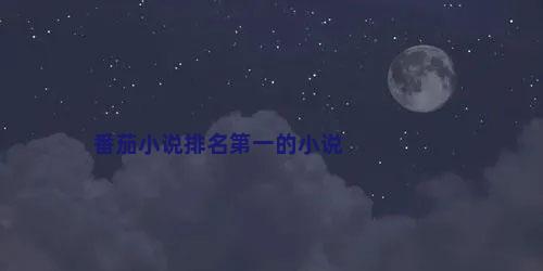 番茄小说排名第一的小说
